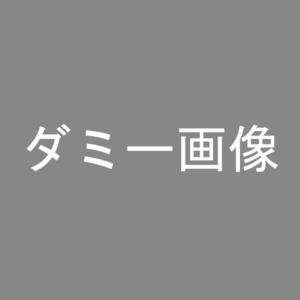 ダミーテキスト