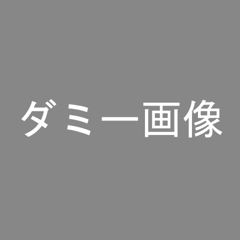 ダミーテキスト